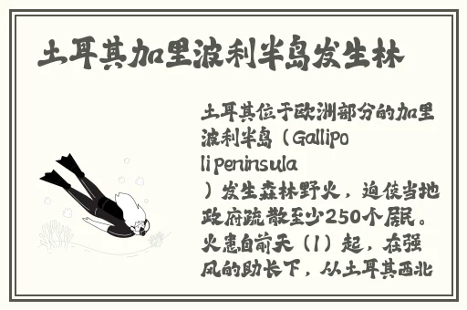 双插曲的痛的视频免费看